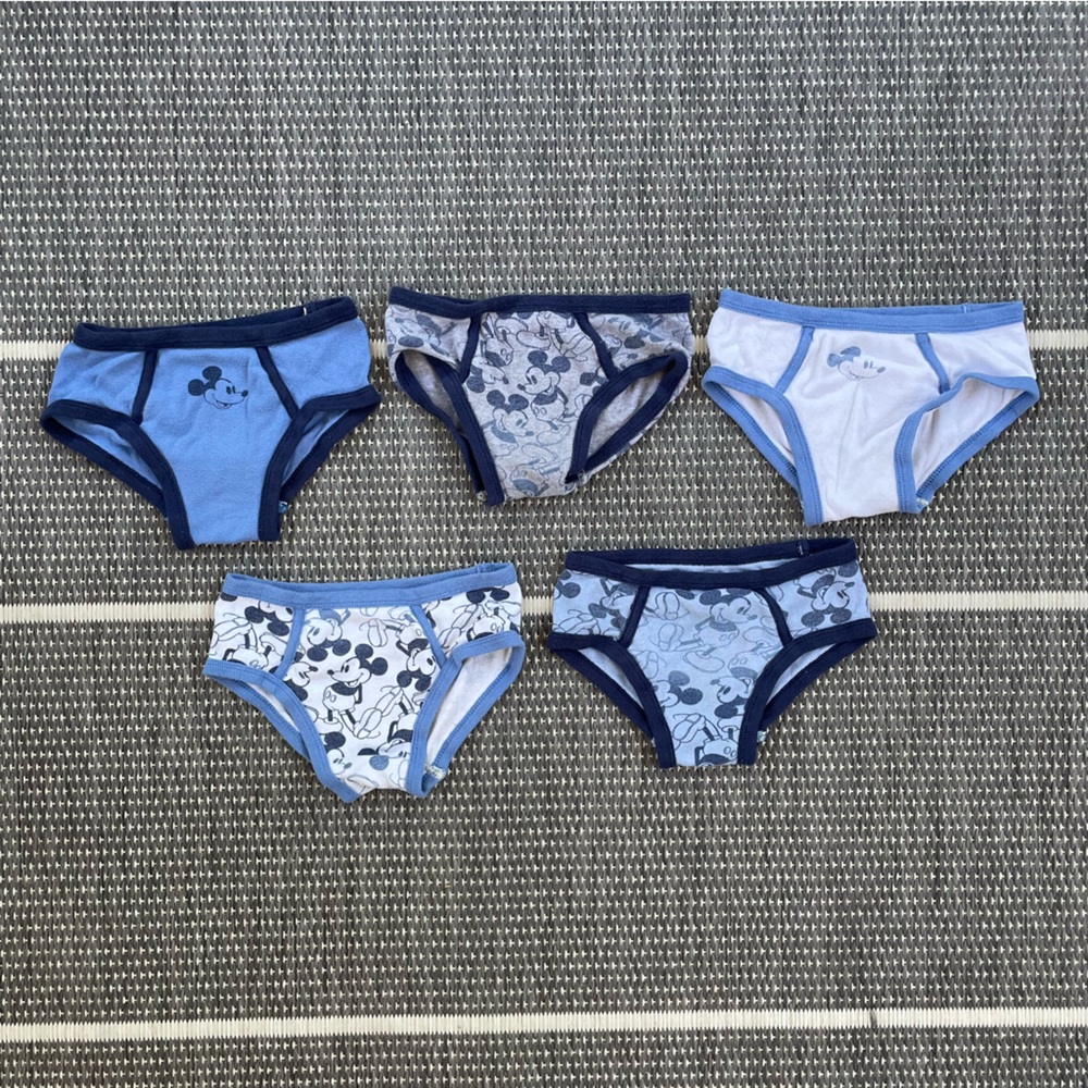 Bundle of 5 GAP Organic Cotton Briefs